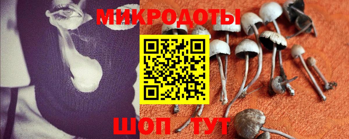 Галлюциногенные грибы Psilocybe  Псилоцибиновые грибы MAGIC MUSHROOMS  Чебоксары  Вход с VPN 