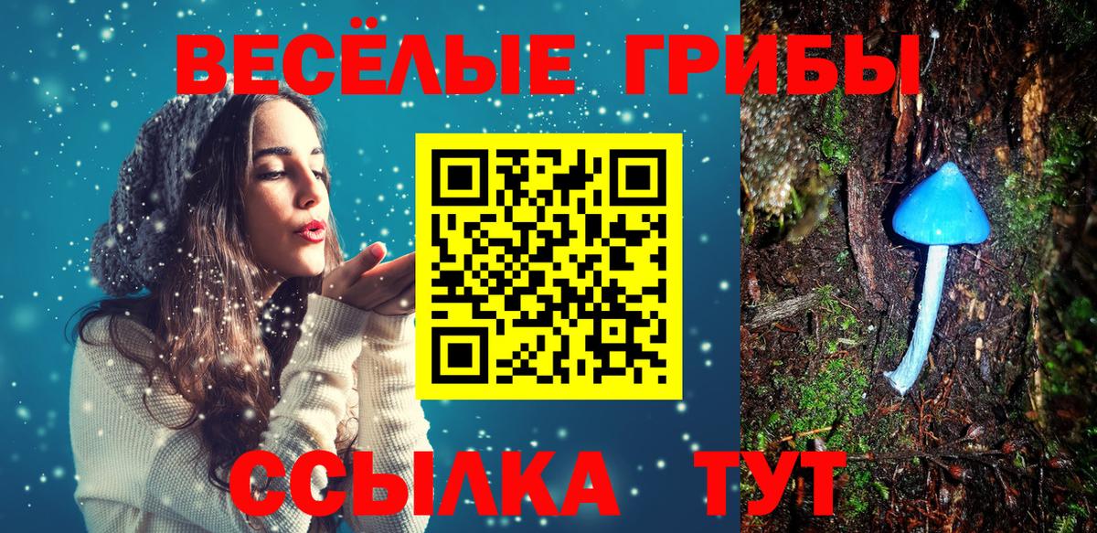 Псилоцибиновые грибы мухоморы Чебоксары